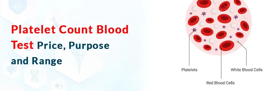 Platelet Count Count Blood Test: Price, Purpose and Range